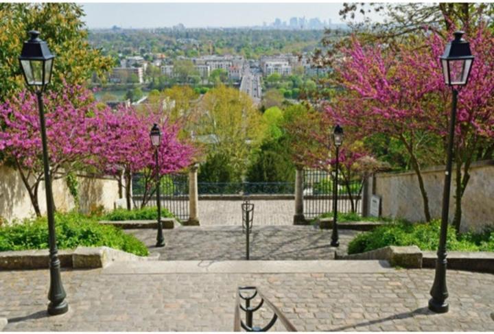 Saint-Germain-En-Laye: Grand Studio En Centre Ville A 2 Minutes Du Rer ภายนอก รูปภาพ